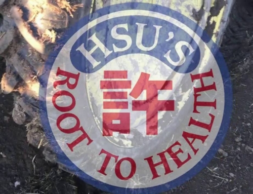 HSU Ginseng